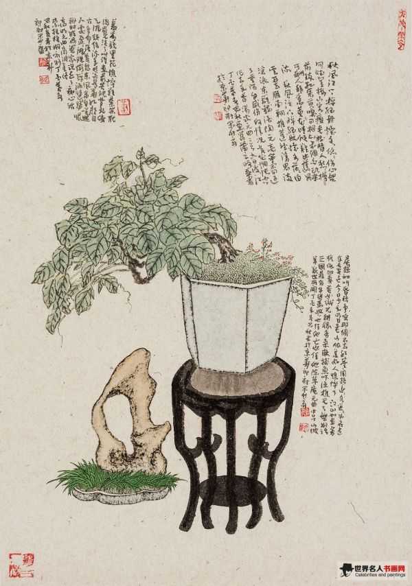巴秋